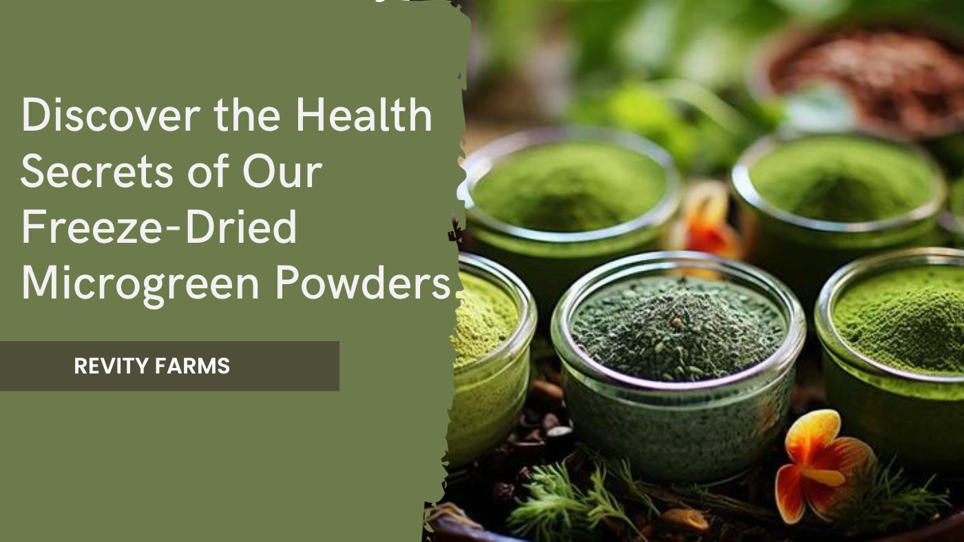 Discover the Health Secrets of Our Freeze-Dried Microgreen Powders