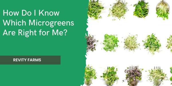 How Do I Know Which Microgreens Are Right for Me