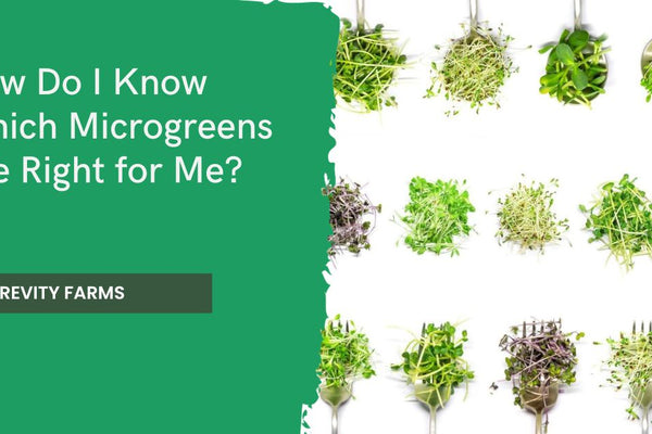 How Do I Know Which Microgreens Are Right for Me