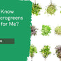 How Do I Know Which Microgreens Are Right for Me