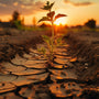 The Broken Food System: Why We Need an Agricultural Revolution - Revity Farms