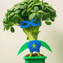 The Sulforaphane Superhero: Why Broccoli Microgreens Deserve a Place in Your Diet - Revity Farms