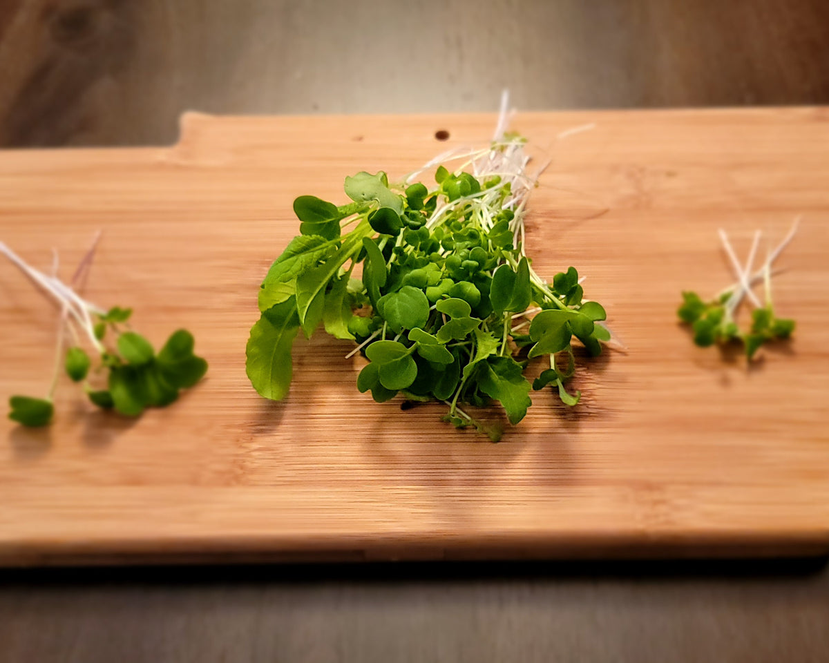 Grown Organic Microgreen Sprouts