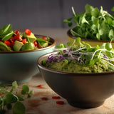 Guacamole - Revity Farms