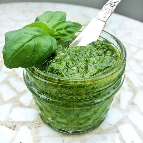 Microgreen Pesto - Revity Farms
