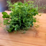 Microgreen Sprouts - Revity Farms