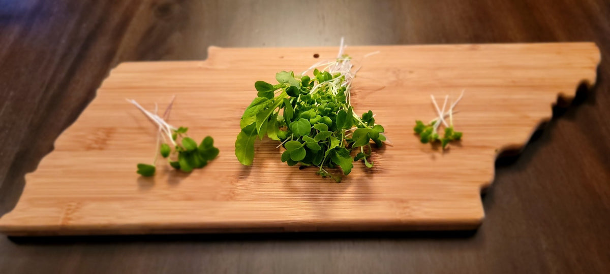 Microgreen Sprouts - Revity Farms
