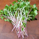 Microgreen Sprouts - Revity Farms
