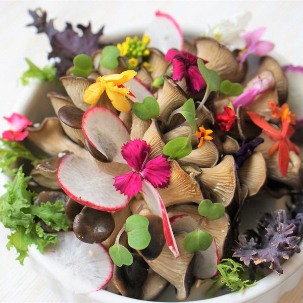 Microgreen Sprouts - Revity Farms