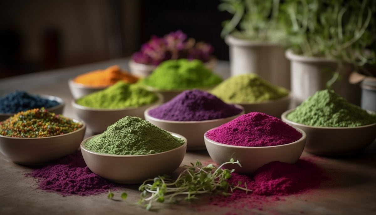 Shelf Stable Vegetable Microgreen Powders - Freeze Dried - Revity Farms