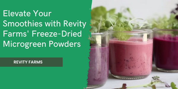 Elevate Your Smoothies with Revity Farms' Freeze-Dried Microgreen Powders