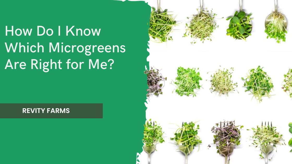 How Do I Know Which Microgreens Are Right for Me