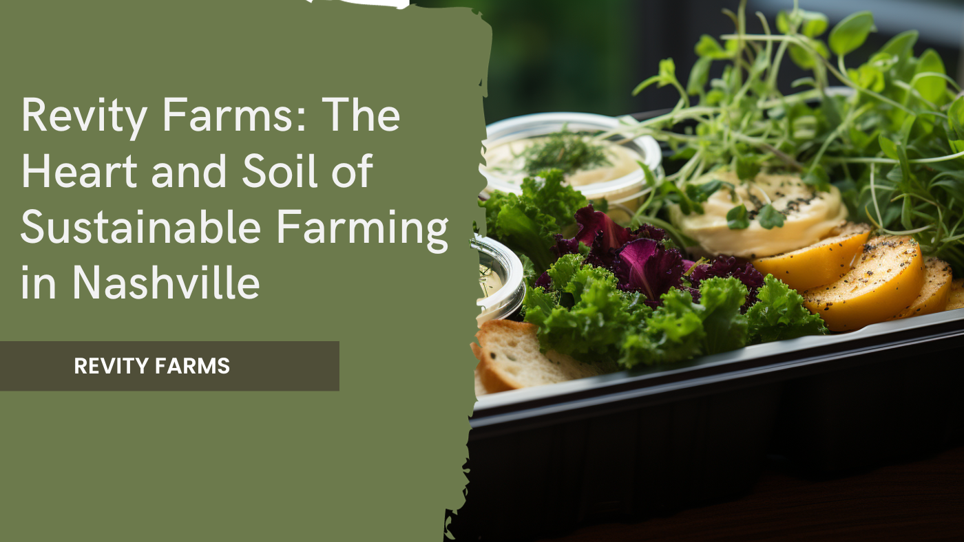 Revity Farms: The Heart and Soil of Sustainable Farming in Nashville