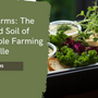 Revity Farms: The Heart and Soil of Sustainable Farming in Nashville