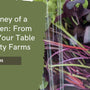 The Journey of a Microgreen: From Seed to Your Table with Revity Farms