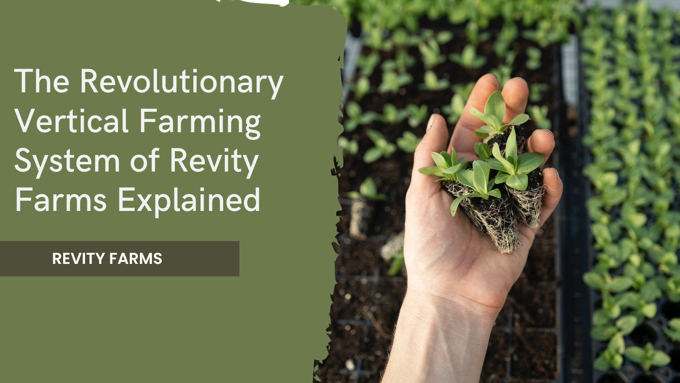 The Revolutionary Vertical Farming System of Revity Farms Explained