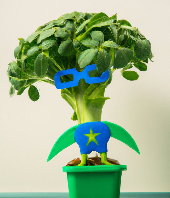 The Sulforaphane Superhero: Why Broccoli Microgreens Deserve a Place in Your Diet - Revity Farms